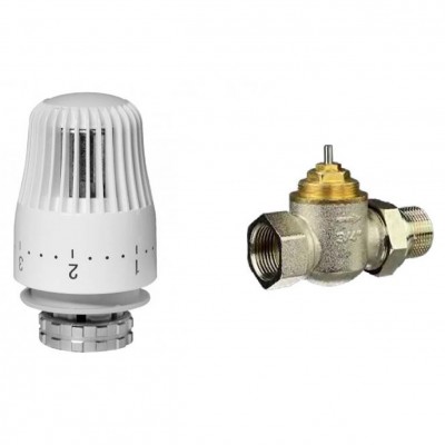 Комплект Ридан и терморегулятор TR-G Ду15 прямой (TR 84) Комплект Ридан и терморегулятор TR-G Ду15 прямой (TR 84)