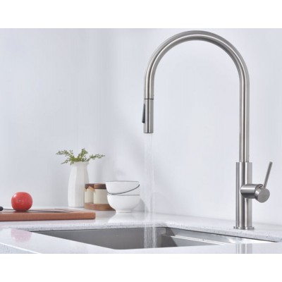 Кухонный смеситель PAULMARK Senso Se215180-BS брашированная сталь (сенсорное упр., выдв. излив) Кухонный смеситель PAULMARK Senso Se215180-BS брашированная сталь (сенсорное упр., выдв. излив)