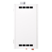 Газовый котел Лемакс Prime-V55 HO