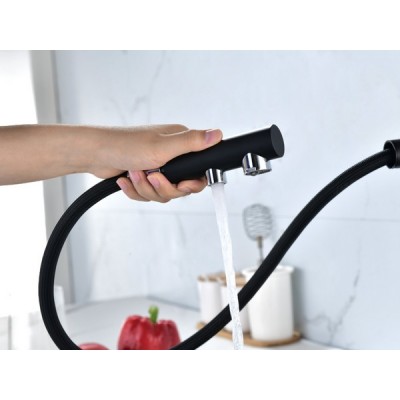 Смеситель Paulmark Serpentine Se213222-401, антрацит Смеситель Paulmark Serpentine Se213222-401, антрацит