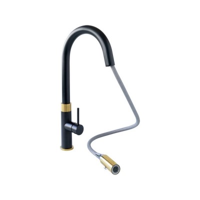 Смеситель Longran с выдв. лейкой LM2183 Black Gold Смеситель Longran с выдв. лейкой LM2183 Black Gold