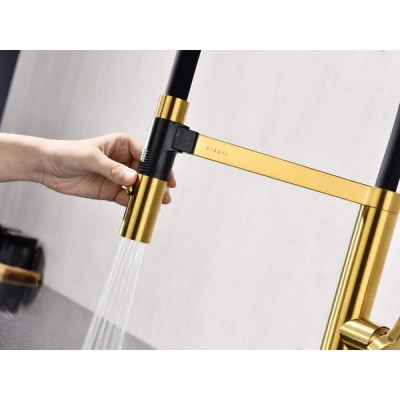 Смеситель Paulmark Leader Le214101-BG, брашированное золото Смеситель Paulmark Leader Le214101-BG, брашированное золото