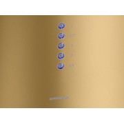 Вытяжка MAUNFELD LEE ISLA 39 золотой