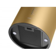 Вытяжка MAUNFELD LEE ISLA 39 золотой