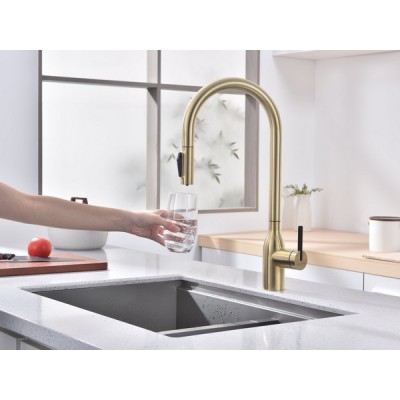 Смеситель Paulmark Universal Un213880-SBG, светлое брашированное золото Смеситель Paulmark Universal Un213880-SBG, светлое брашированное золото