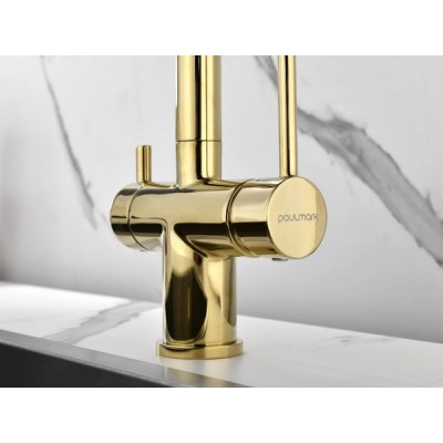 Смеситель Paulmark Serpentine Se213222-G, золото Смеситель Paulmark Serpentine Se213222-G, золото