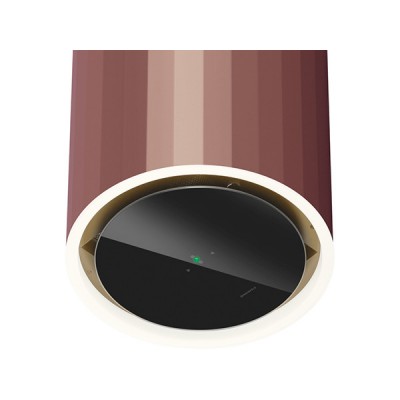 Вытяжка MAUNFELD Adelaide 39 Wall розовое золото Вытяжка MAUNFELD Adelaide 39 Wall розовое золото