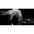 Варочная панель Bertazzoni P804ICH2M30NC индукционная с вытяжкой Варочная панель Bertazzoni P804ICH2M30NC индукционная с вытяжкой