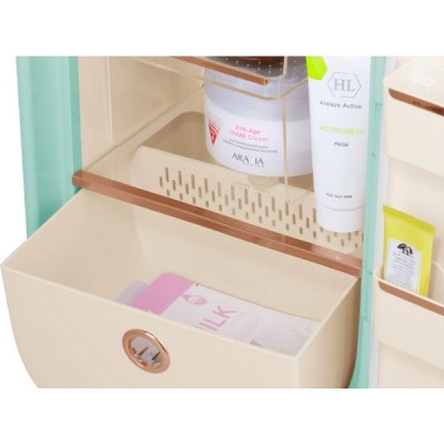 Мини-холодильник для косметики MAUNFELD MFF43GN Мини-холодильник для косметики MAUNFELD MFF43GN