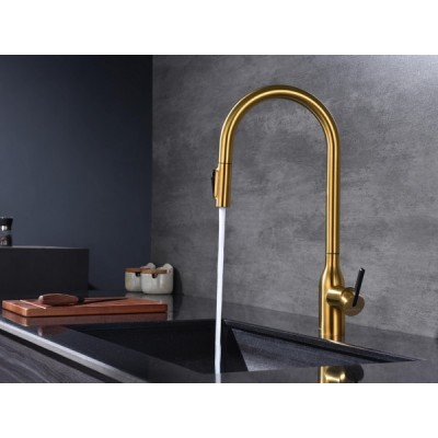 Смеситель Paulmark Universal Un213880-BG, брашированное золото Смеситель Paulmark Universal Un213880-BG, брашированное золото