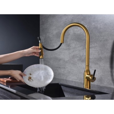 Смеситель Paulmark Universal Un213880-BG, брашированное золото Смеситель Paulmark Universal Un213880-BG, брашированное золото