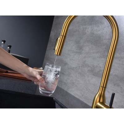 Смеситель Paulmark Universal Un213880-BG, брашированное золото Смеситель Paulmark Universal Un213880-BG, брашированное золото