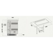 Варочная панель с встр. вытяжкой Falmec SINTESI индукционная