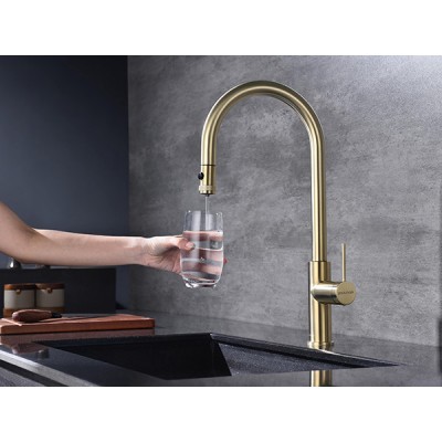 Смеситель Paulmark Galant Ga213077-SBG, светлое брашированное золото Смеситель Paulmark Galant Ga213077-SBG, светлое брашированное золото