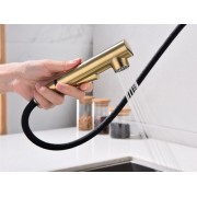 Смеситель Paulmark Neo Ne214419-SBG, светлое брашированное золото