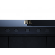 Варочная панель Kuppersbusch KMI 9850.1 SR-S Gold индукционная с вытяжкой