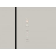 Холодильник HIBERG i-RFQ 705G Y