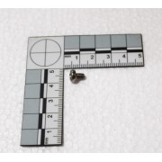 Винт M4X6 (INOX)