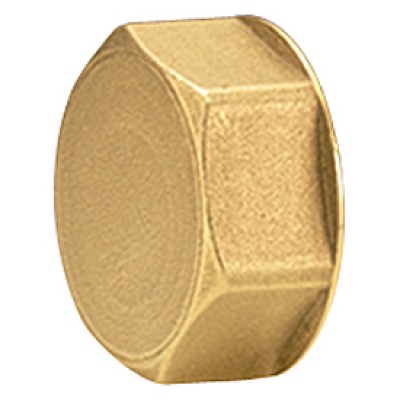 Пробка для коллектора 1" Giacomini Пробка для коллектора 1" Giacomini