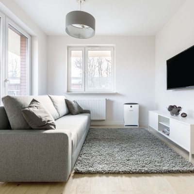 Очиститель воздуха Boneco P340 Очиститель воздуха Boneco P340