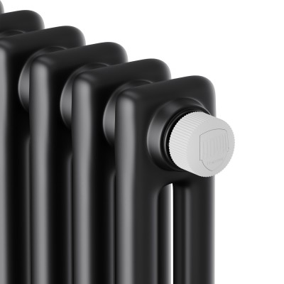 Дизайн-радиатор Royal Thermo Insignia VC2180 - 12 секц. RAL9005m Дизайн-радиатор Royal Thermo Insignia VC2180 - 12 секц. RAL9005m