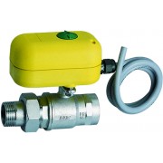 2-х ход. зон. шар.кран с серв. 220 В, 1", НР-ВР