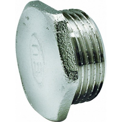 Пробка 2" наружная резьба EU.ST3019085 2 (Арт.:EU.ST3019085 2) Пробка 2" наружная резьба EU.ST3019085 2 (Арт.:EU.ST3019085 2)