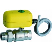 2-х ход. зон. шар.кран с серв. 220 В, 1/2", НР-ВР