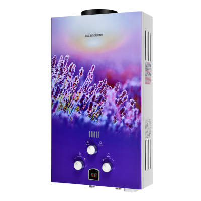 Газовая колонка Edisson E 20 GD (Лаванда) Газовая колонка Edisson E 20 GD (Лаванда)