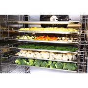 Аппарат шоковой заморозки 10-и уровневый Abat ШОК-10-1/1