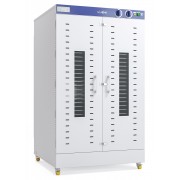 Шкаф сушильный Abat ШС-32-2Г-01