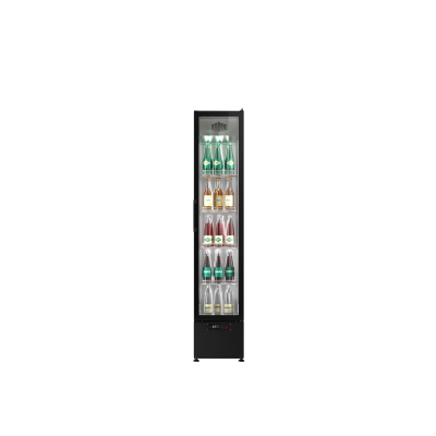 POLAIR V200 POLAIR V200