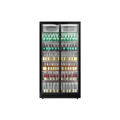 POLAIR V1100 POLAIR V1100