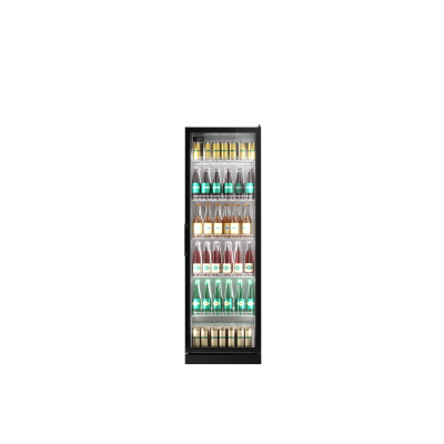 POLAIR V400 POLAIR V400