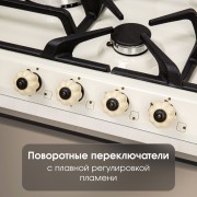 Варочная поверхность Zigmund & Shtain GN 208.61 X