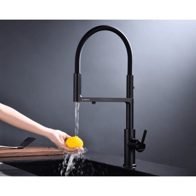 Кухонный смеситель PAULMARK TORNADO To213402-401 антрацит Кухонный смеситель PAULMARK TORNADO To213402-401 антрацит