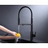 Кухонный смеситель PAULMARK TORNADO To213402-401 антрацит Кухонный смеситель PAULMARK TORNADO To213402-401 антрацит