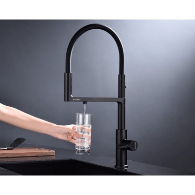 Кухонный смеситель PAULMARK TORNADO To213402-401 антрацит Кухонный смеситель PAULMARK TORNADO To213402-401 антрацит