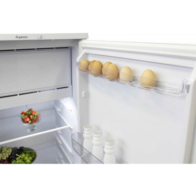 Однокамерный холодильник с морозильным отделением Бирюса Б-10 Однокамерный холодильник с морозильным отделением Бирюса Б-10