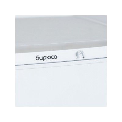 Холодильник Бирюса 553 Холодильник Бирюса 553