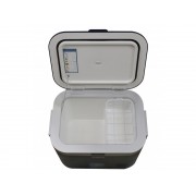 Мобильный холодильник Бирюса НС-18P5