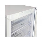 Полноразмерная морозильная камера Бирюса Б-6048