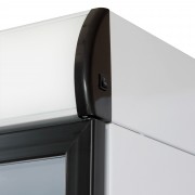 Шкаф - витрина с механическим управлением Бирюса Б-B310P