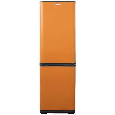 Двухкамерный холодильник с нижней морозильной камерой Бирюса Б-T633 Двухкамерный холодильник с нижней морозильной камерой Бирюса Б-T633