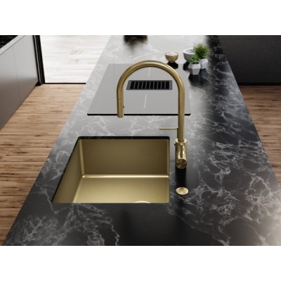 Мойка Franke BXM 210/110-50 F-INOX, золото, вентиль-автомат (127.0662.540) Мойка Franke BXM 210/110-50 F-INOX, золото, вентиль-автомат (127.0662.540)